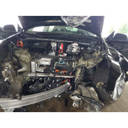 2023 TESLA MODEL Y 7SAYGDEE5PA135058 50880816