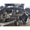 2023 TESLA MODEL Y 7SAYGDEE5PA135058 50880816