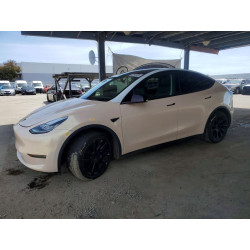2022 TESLA MODEL Y 7SAYGDEE3NF340829 52040456