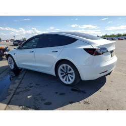 2023 TESLA MODEL 3 5YJ3E1EA6PF555584 49419726
