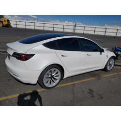 2023 TESLA MODEL 3 5YJ3E1EA6PF555584 49419726