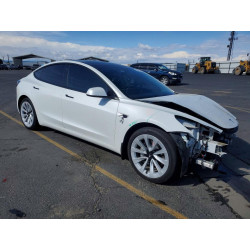 2023 TESLA MODEL 3 5YJ3E1EA6PF555584 49419726