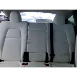 2023 TESLA MODEL Y 7SAYGDEE2PF801540 52250866