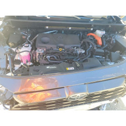 2025 TOYOTA RAV4 JTMRWRFV2SJ089161 53746656
