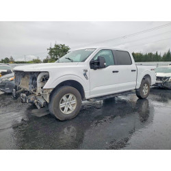 2023 FORD F150 1FTFW1E59PKD11962 54843336