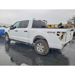 2023 FORD F150 1FTFW1E59PKD11962 54843336