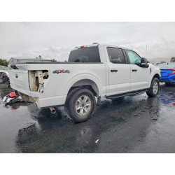 2023 FORD F150 1FTFW1E59PKD11962 54843336