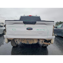 2023 FORD F150 1FTFW1E59PKD11962 54843336