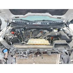 2023 FORD F150 1FTFW1E59PKD11962 54843336