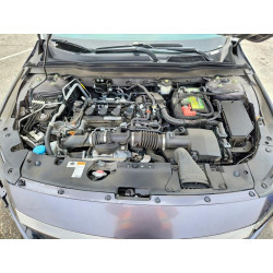 2020 HONDA ACCORD 1HGCV1F30LA137218 50113196