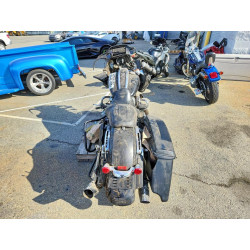 2022 HARLEY-DAVIDSON FL 1HD1KTP29NB616443 50222166