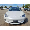 2020 TESLA MODEL 3 5YJ3E1EA7LF631405 50961766
