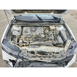 2025 TOYOTA CAMRY 4T1DAACK5SU562503 51304806