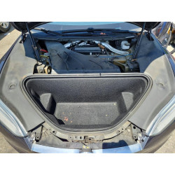 2020 TESLA MODEL S 5YJSA1E22LF401285 51306366