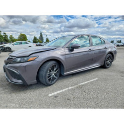 2023 TOYOTA CAMRY 4T1T11AKXPU166864 51987876