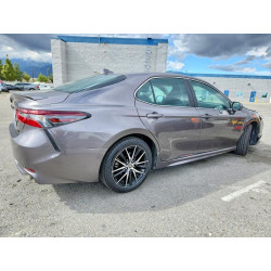 2023 TOYOTA CAMRY 4T1T11AKXPU166864 51987876