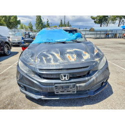 2020 HONDA CIVIC 2HGFC2F84LH593003 53295826