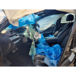 2020 HONDA CIVIC 2HGFC2F84LH593003 53295826