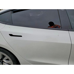 2022 TESLA MODEL 3 5YJ3E1EAXNF302703 53306046
