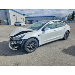 2023 TESLA MODEL 3 5YJ3E1EA1PF566444 55033436