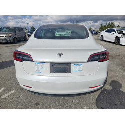 2023 TESLA MODEL 3 5YJ3E1EA1PF566444 55033436