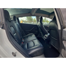 2023 TESLA MODEL 3 5YJ3E1EA1PF566444 55033436