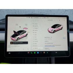 2022 TESLA MODEL 3 5YJ3E1EB3NF193915 77421665