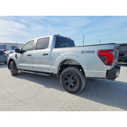 2025 FORD F150 1FTEW2LP3SKF29992 52463446