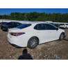 2020 TOYOTA CAMRY LE 4T1E31AK3LU518874 52486306