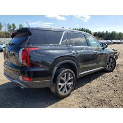2020 HYUNDAI PALISADE KM8R3DHE7LU105939 48989356