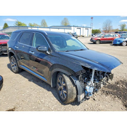 2020 HYUNDAI PALISADE KM8R3DHE7LU105939 48989356