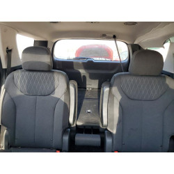 2020 HYUNDAI PALISADE KM8R3DHE7LU105939 48989356