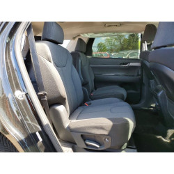 2020 HYUNDAI PALISADE KM8R3DHE7LU105939 48989356