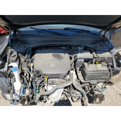 2020 HYUNDAI PALISADE KM8R3DHE7LU105939 48989356