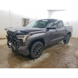 2023 TOYOTA TUNDRA 5TFNA5DB8PX123820 52334176
