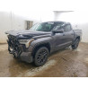 2023 TOYOTA TUNDRA 5TFNA5DB8PX123820 52334176