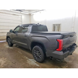 2023 TOYOTA TUNDRA 5TFNA5DB8PX123820 52334176