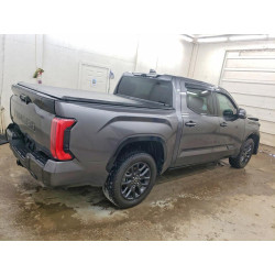 2023 TOYOTA TUNDRA 5TFNA5DB8PX123820 52334176