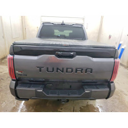2023 TOYOTA TUNDRA 5TFNA5DB8PX123820 52334176