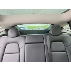 2025 TESLA MODEL Y 7SAYGDEE9SA355960 52466356