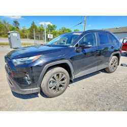 2025 TOYOTA RAV4 JTMB6RFV9SJ094908 52561306