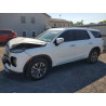 2022 HYUNDAI PALISADE KM8R2DHE6NU413559 53846776