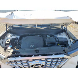 2022 HYUNDAI PALISADE KM8R2DHE6NU413559 53846776