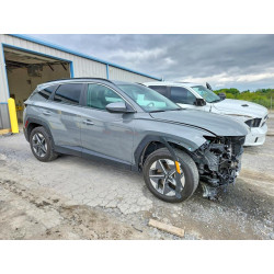 2025 HYUNDAI TUCSON 5NMJBCDE8SH480796 53255546