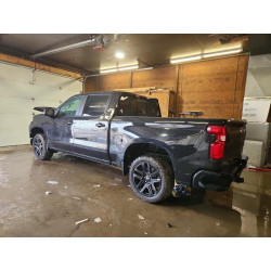 2025 CHEVROLET SILVERADO 1GCUKEE8XSZ129319 52913116