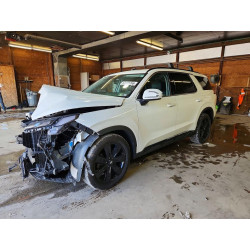 2023 HYUNDAI PALISADE KM8R3DGE5PU549361 53903766