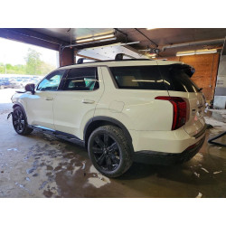 2023 HYUNDAI PALISADE KM8R3DGE5PU549361 53903766