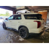 2023 HYUNDAI PALISADE KM8R3DGE5PU549361 53903766