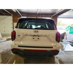 2023 HYUNDAI PALISADE KM8R3DGE5PU549361 53903766