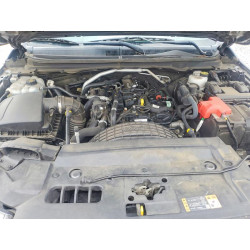 2022 FORD RANGER 1FTER4FH0NLD01681 52567806